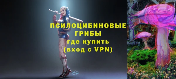 спиды Солнечногорск