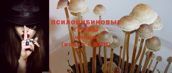 jwh Зеленодольск