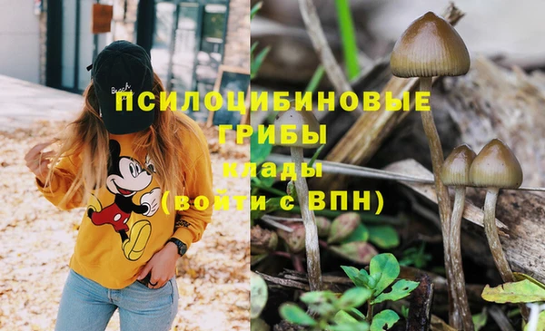 тгк Зерноград